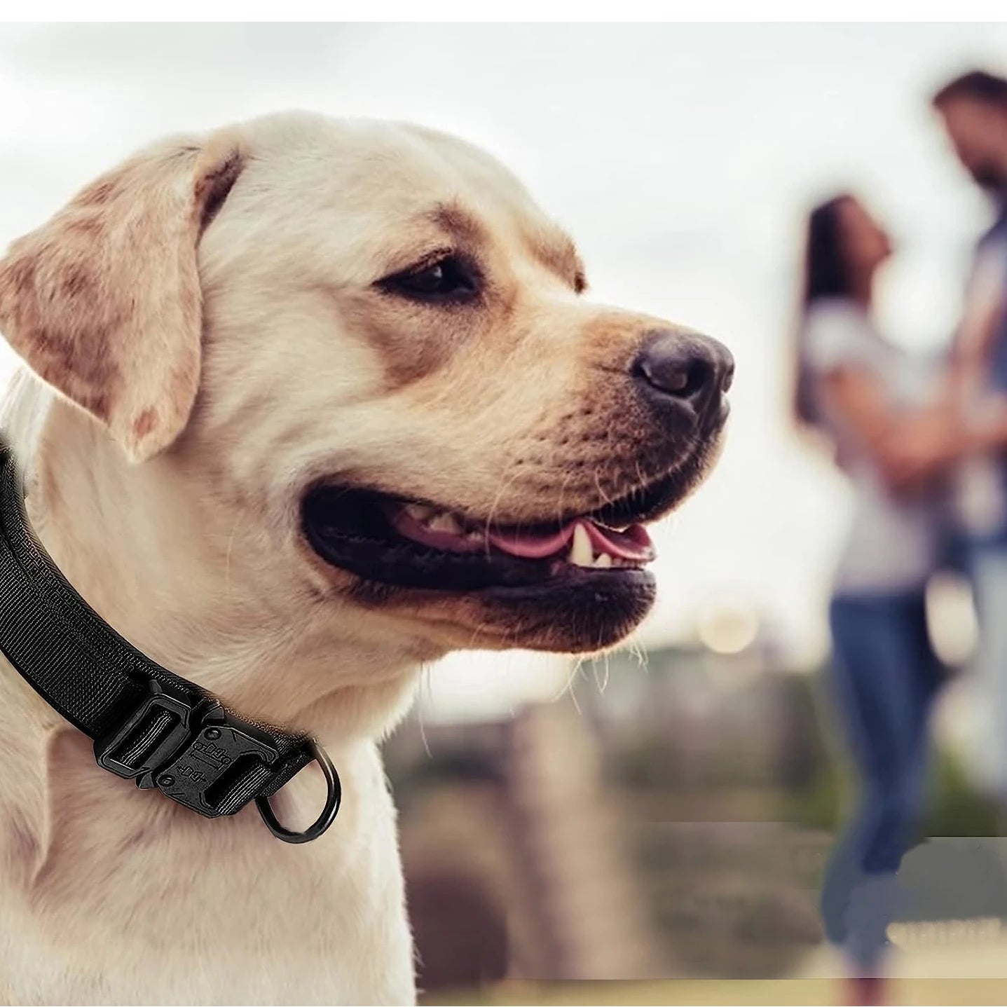 Tactical Dog Collar, Adjustable Military Training Nylon Dog Collar with Control Handle Heavy Metal Buckle for Medium and Lar